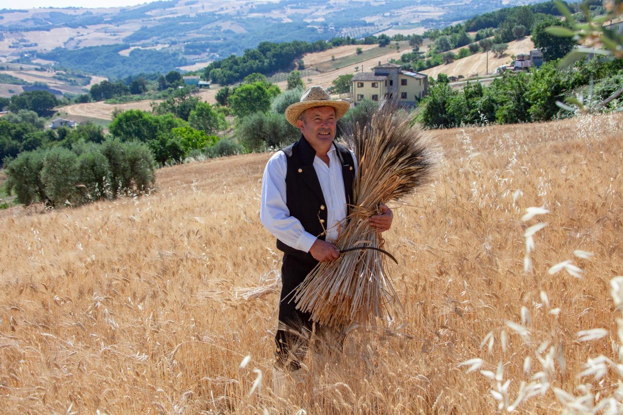 Agriturismo Terra E Sapori Campodipietra Екстериор снимка