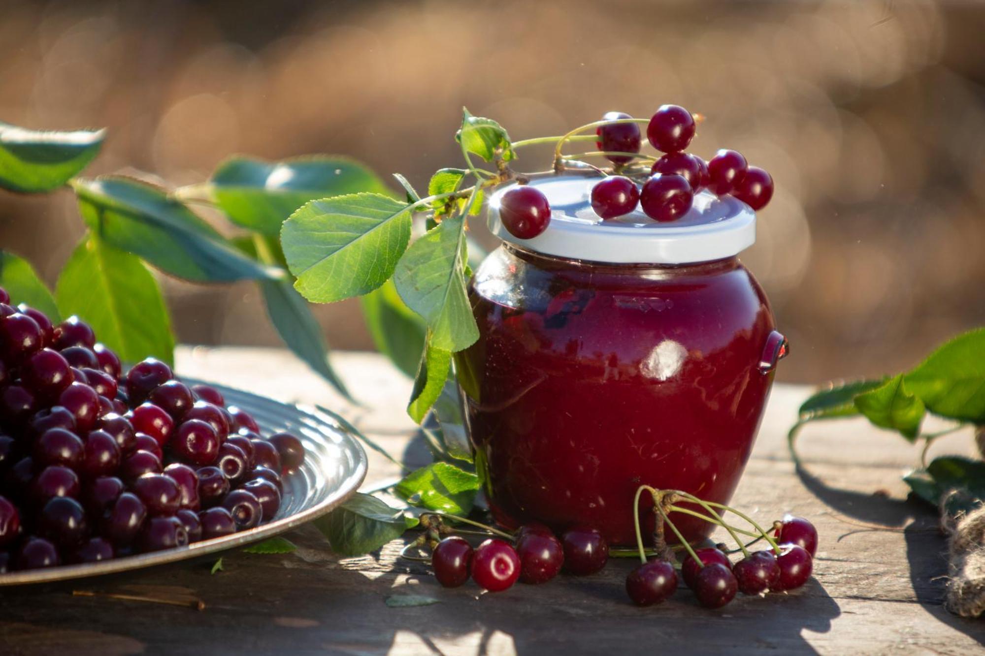 Agriturismo Terra E Sapori Campodipietra Екстериор снимка