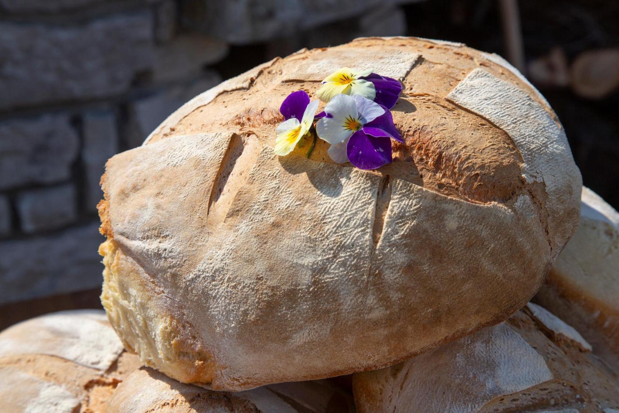 Agriturismo Terra E Sapori Campodipietra Екстериор снимка
