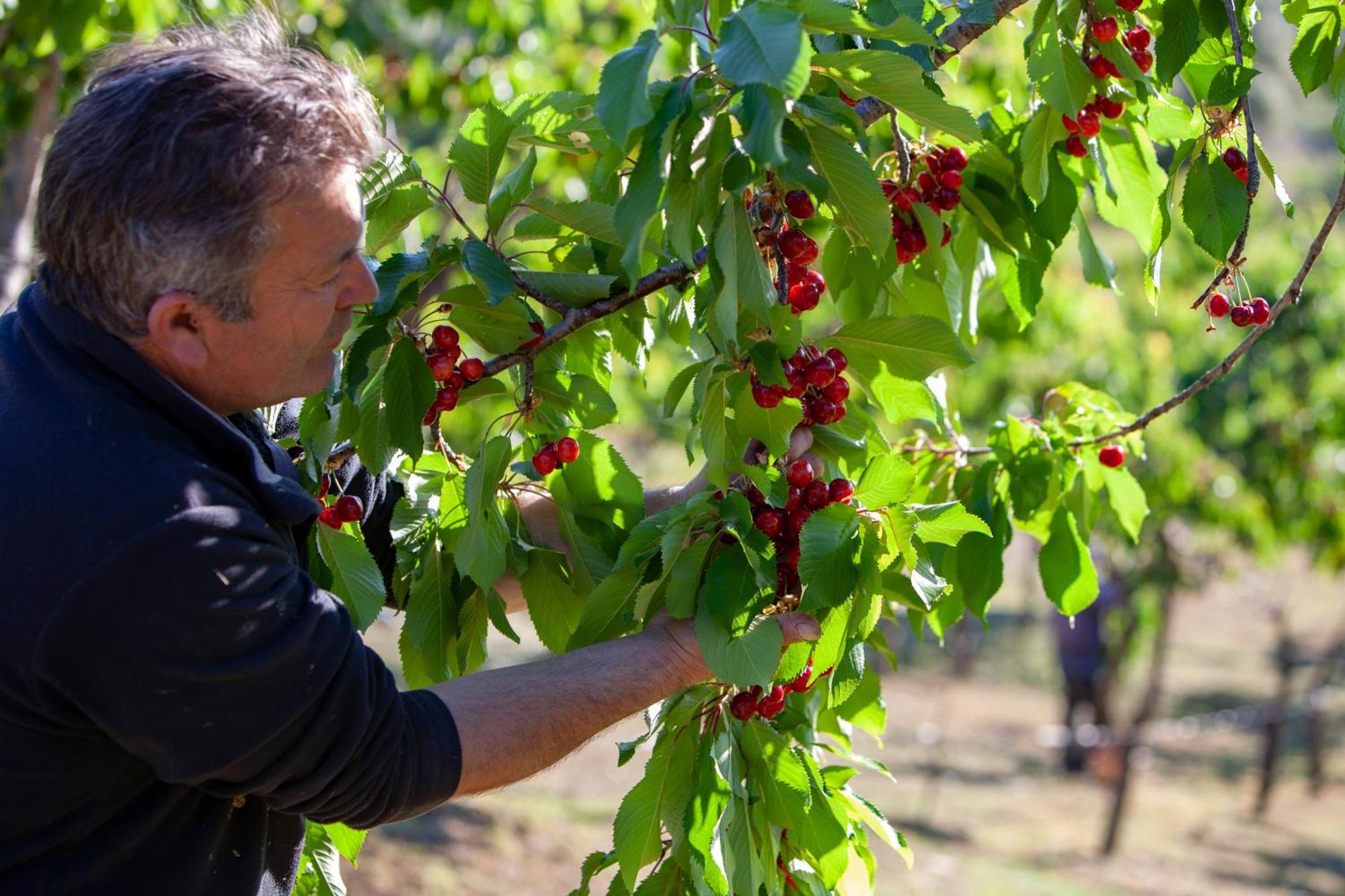 Agriturismo Terra E Sapori Campodipietra Екстериор снимка