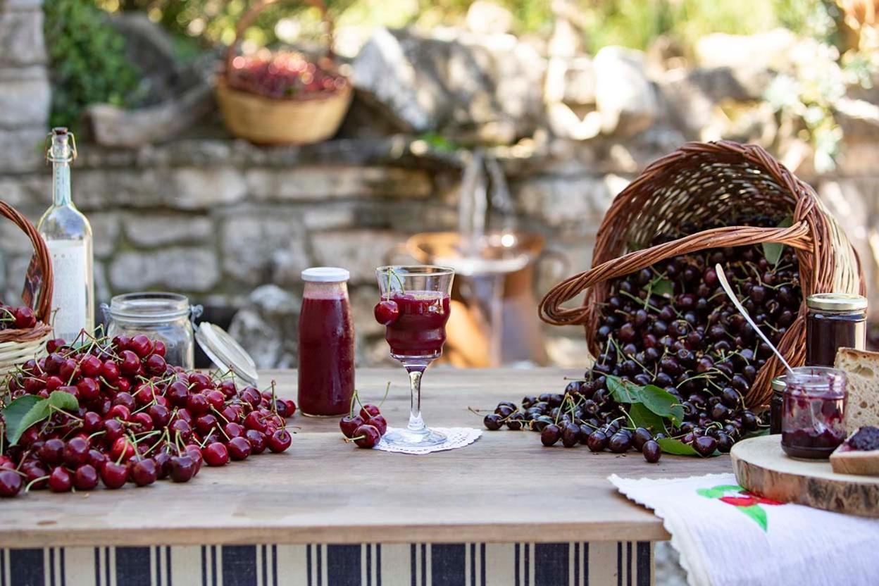 Agriturismo Terra E Sapori Campodipietra Екстериор снимка