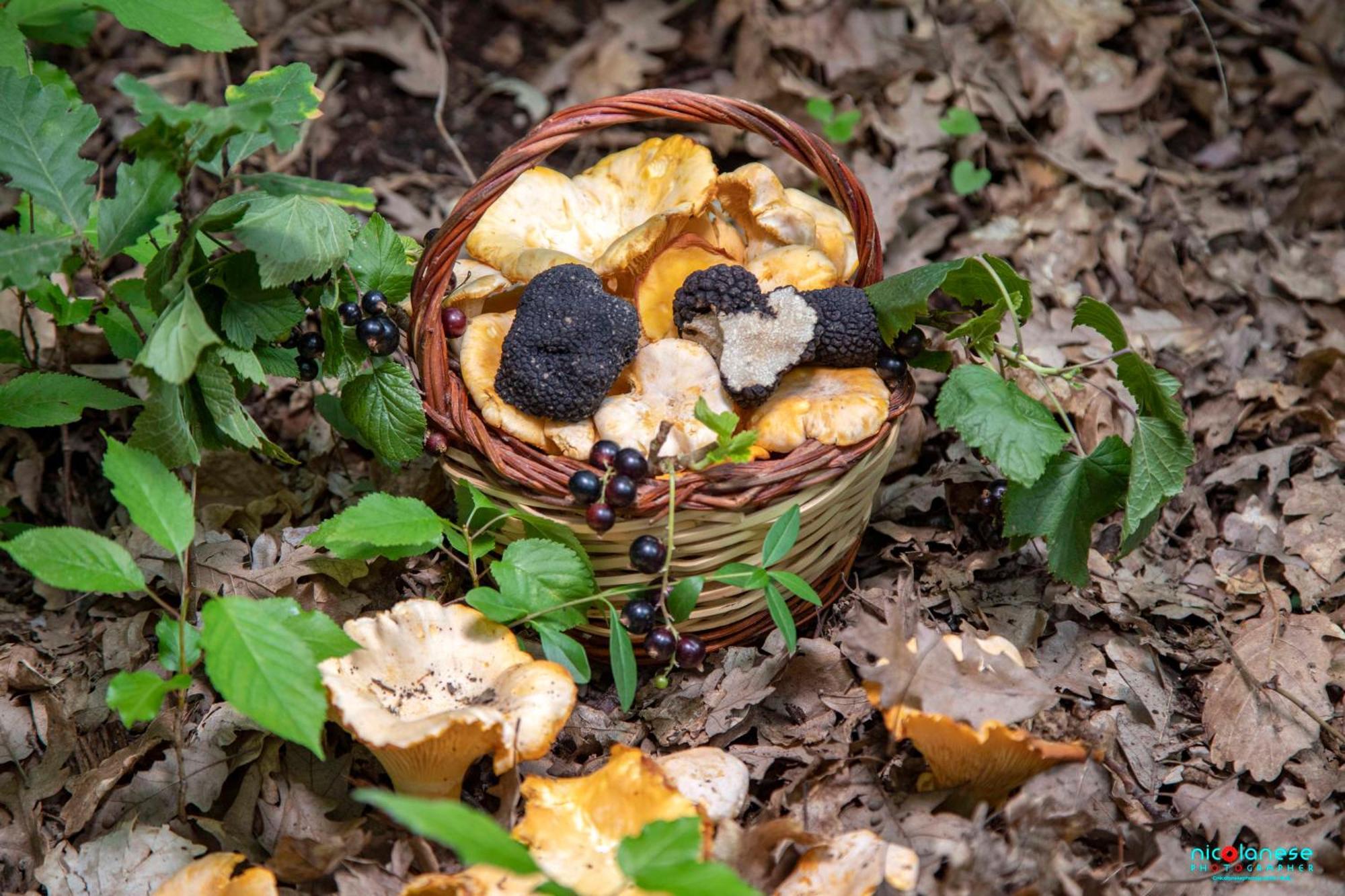 Agriturismo Terra E Sapori Campodipietra Екстериор снимка