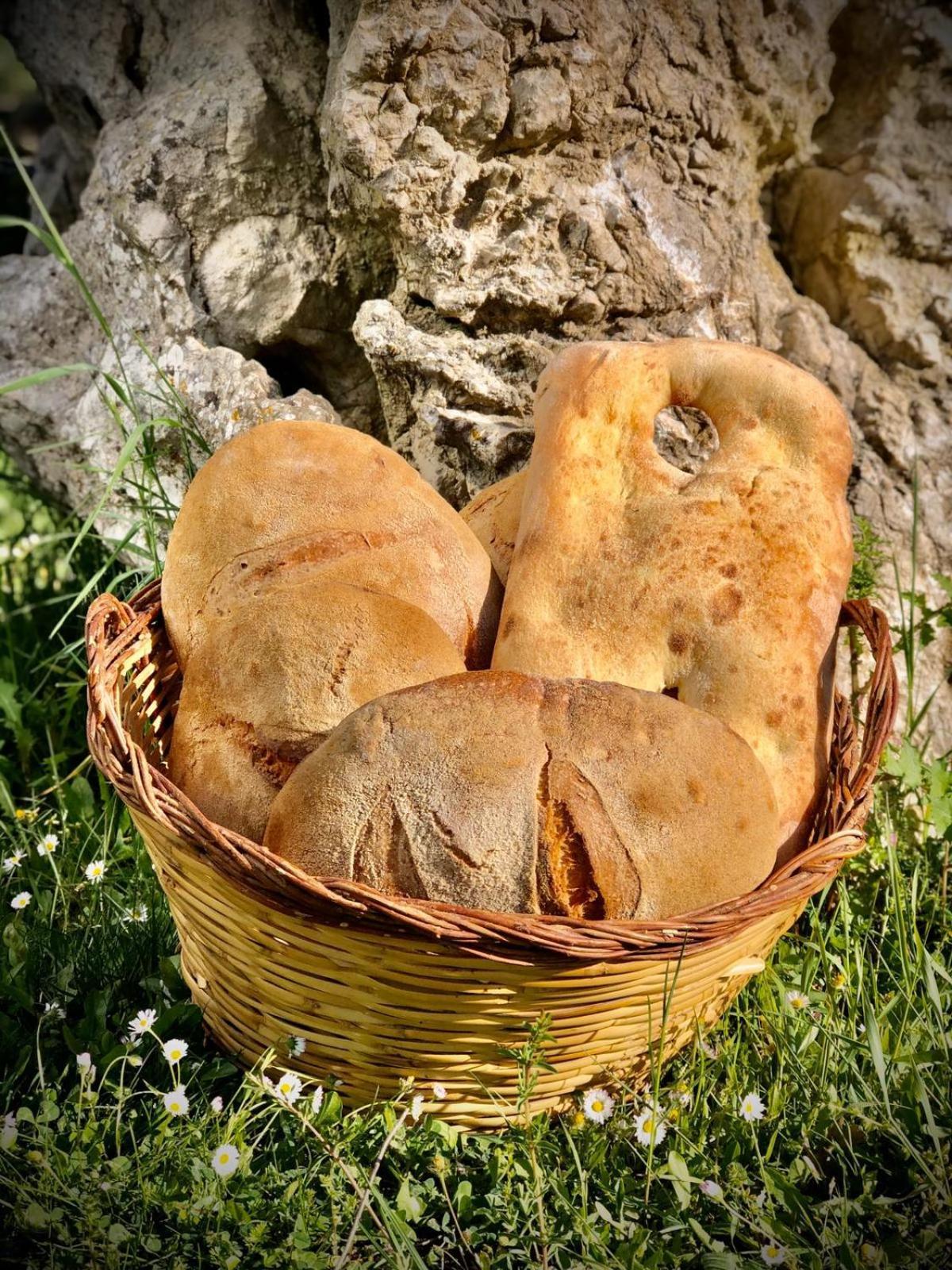 Agriturismo Terra E Sapori Campodipietra Екстериор снимка